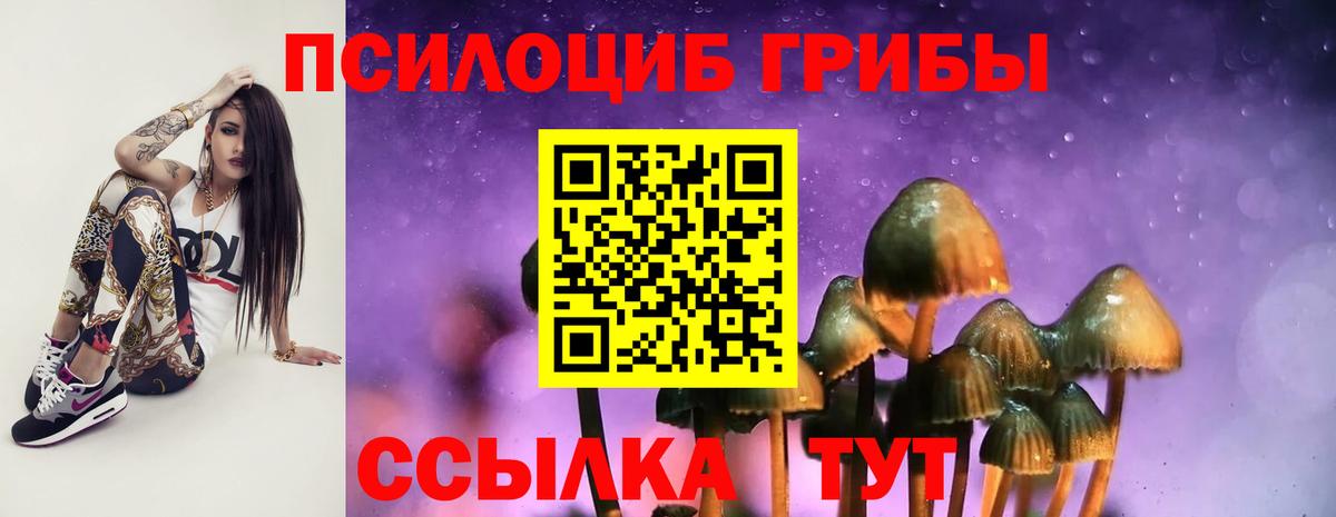 Псилоцибиновые грибы Psilocybe Воскресенск
